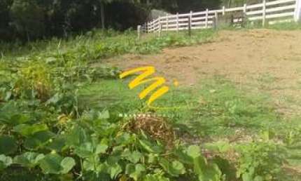 Terreno à venda em Engenheiro Caldas, Centro, com 2000 m²