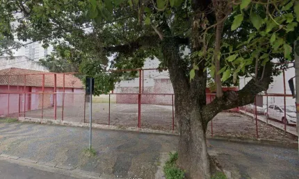 Terreno para alugar em Campinas, Cambuí, com 900 m²