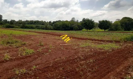 Terreno à venda na Avenida Alexandre Cazelatto, s/n, Betel, Paulínia