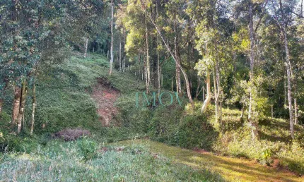 Terreno à venda, 1107 m² por R$ 500.000,00 - Alto Do Capivari - Campos do Jordão/SP