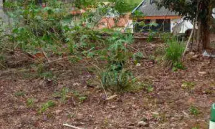 Terreno à venda, 175 m² por R$ 127.200,00 - Parque Residencial Santo André - Caçapava/SP