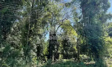 Terreno à venda no Jardim Dom Pedro I, Foz do Iguaçu 