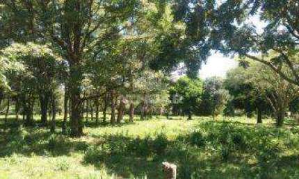 Terreno comercial para alugar no Três Lagoas, Foz do Iguaçu 