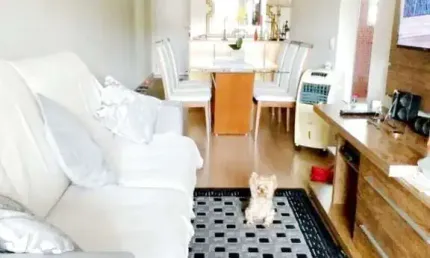 Apartamento para Venda em Santo André, Vila Valparaíso, 3 dormitórios, 1 suíte, 2 banheiros, 2 vagas