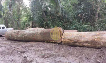 Fazenda à venda na Zona Rural, Feijó 