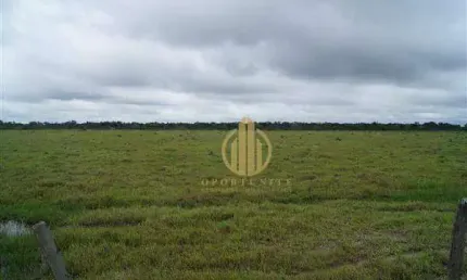 Fazenda em São Miguel do Araguaia à venda,  - Centro - São Miguel do Araguaia/GO