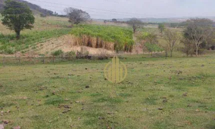 Fazenda com 3 dormitórios à venda, 157300 m² por R$ 1.650.000,00 - Sao Simao - São Simão/SP
