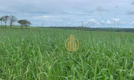 Fazenda à venda, 18000000 m² por R$ 35.000.000 - Zona Rural - Barra do Garças/MT