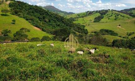 Área  para lazer e ou cultivo venda, 730000 m² por R$ 4.000.000 - Zona Rural - Capitólio/MG