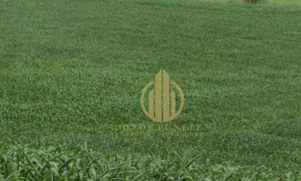 Terreno de ilha no Vivendas da Mata - Portal Jatobá - 300 m² por R$ 300.000 - Distrito de Bonfim Paulista - Ribeirão Preto/SP