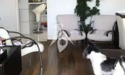 Apartamento com 2 quartos à venda na Rua Torquato Tasso, 180, Mooca, São Paulo