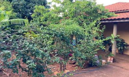Chácara para Venda em Brodowski, Condomínio Boa Vista, 3 dormitórios, 2 banheiros