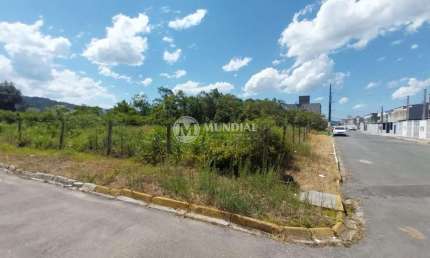Terreno para venda no bairro santa regina, Santa Regina, Camboriú - SC