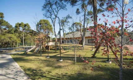 Terreno à venda, 1040 m² por R$ 1.900.000,00 - Ecoville - Curitiba/PR