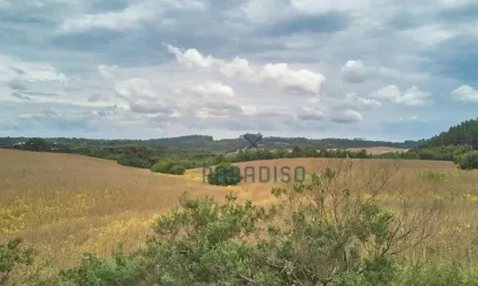 Terreno à venda, 158769 m² por R$ 18.661.394,00 - Centro - Mandirituba/PR