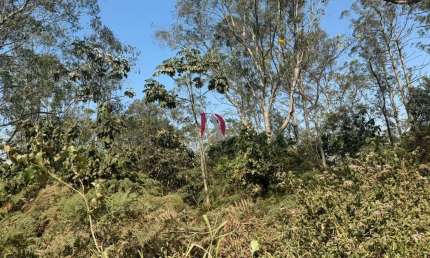Terreno para Venda em São Bernardo do Campo, Batistini