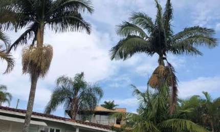 Casa em Condomínio para Venda em Bragança Paulista, Condomínio Represa, 3 dormitórios, 1 suíte, 2 banheiros