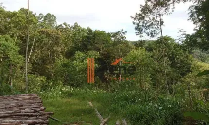 Sítio à venda, 15000 m² por R$ 370.000,00 - Caetés - Camboriú/SC