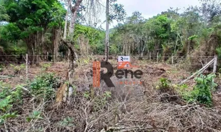 Terreno de 375m² à venda na Praia do Ervino, São Francisco do Sul!