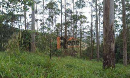 Terreno à venda no Caetes, Camboriú 