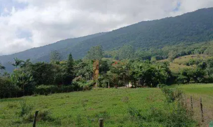 Chácara / sítio com 4 quartos à venda no Macacos, Camboriú 