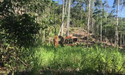 Terreno à venda no Braço, Camboriú 