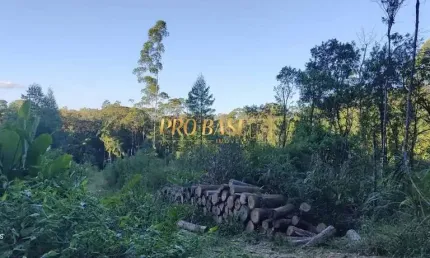 Chácara / sítio à venda na Geral Santa Teresa s/n, 1, Santa Teresa, São Pedro de Alcântara por R$ 950.000