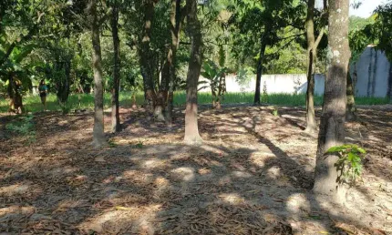 Terreno à venda na Dos Pinheiros, Casa Verde, Monte Mor por R$ 185.000