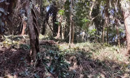 Terreno em condomínio fechado à venda no Sete Praias, São Paulo 