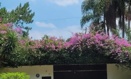 Chácara cinematográfica, no Sete Praias, São Paulo-SP