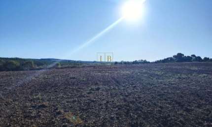 Chácara / sítio à venda no Centro, Elias Fausto , 20600 m2 por R$ 615.800