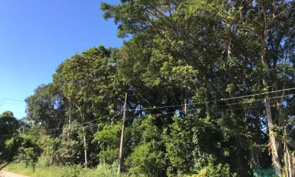 Terreno à venda na Rua 2570 Ayrton Senna da Silva, 775, Pontal do Norte, Itapoá