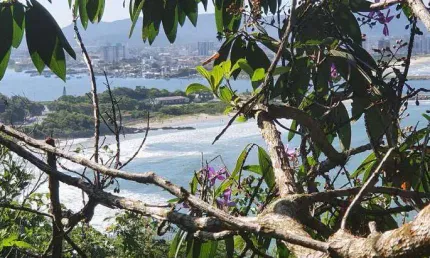 TERRENO com 4500 metros quadrados em Cabeçudas - Itajaí - SC