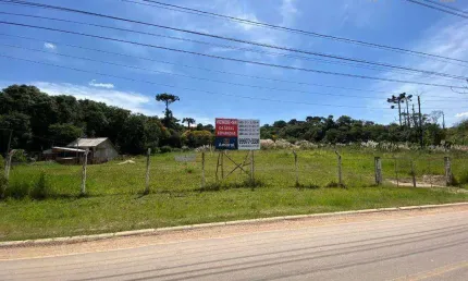 Terreno à venda, 6500 m² por R$ 3.350.000,00 - Cic - Curitiba/PR