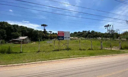 Terreno à venda, 11900 m² por r$ 5.950.000,00 - cidade industrial - curitiba/pr