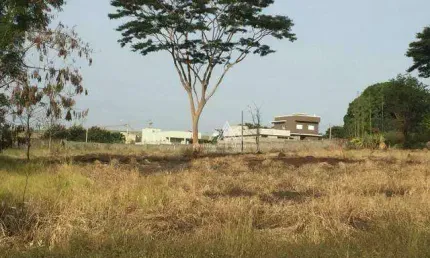 Terreno à venda, 549 m² por R$ 850.000,00 - Vila do Golf - Ribeirão Preto/SP