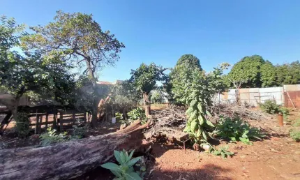 Terreno à venda, 500 m² por R$ 300.000,00 - Vila Mariana - Ribeirão Preto/SP