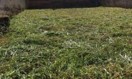 Terreno à venda, 250 m² por R$ 265.000,00 - Jardim Macedo - Ribeirão Preto/SP