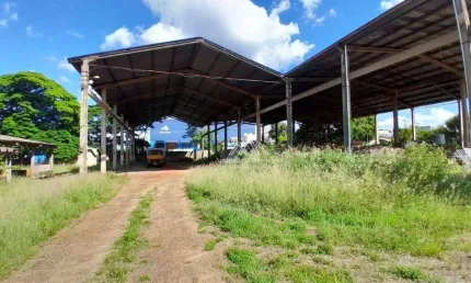Terreno para alugar, 500 m² por R$ 8.000,00/mês - Parque Industrial Lagoinha - Ribeirão Preto/SP