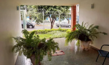 Casa com 3 dormitórios à venda, 275 m² - campos elíseos - ribeirão preto/sp