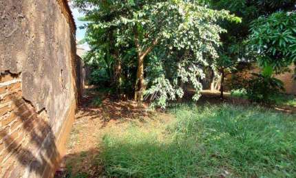 Terreno à venda, 253 m² por R$ 230.000,00 - Sumarezinho - Ribeirão Preto/SP