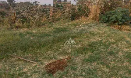Terreno à venda, 212 m² por R$ 200.000,00 - Jardim Cristo Redentor - Ribeirão Preto/SP
