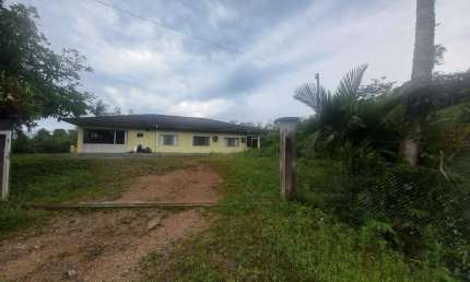Sitio/Chácara à Venda em Jaraguá do Sul com sendo – Bairro Jaraguá 99