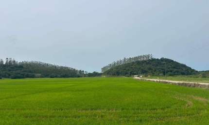 Terreno à Venda em Jaraguá do Sul, 297.000,00m² àrea total - Poço Grande