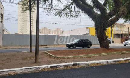 Terreno comercial para alugar na Avenida Paes de Barros, --, Mooca, São Paulo, 1050 m2 por R$ 150.000