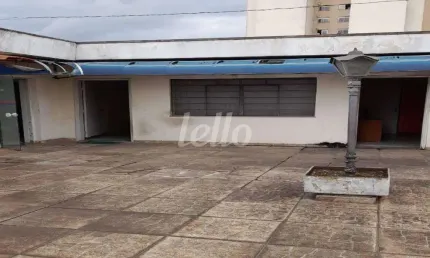 Prédio para alugar na rua javorau, --, vila albertina, são paulo, 900 m2 por r$ 45.000