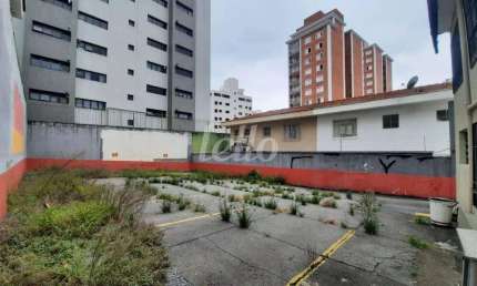 Terreno comercial para alugar na Avenida Nova Cantareira, --, Tucuruvi, São Paulo, 350 m2 por R$ 3.700