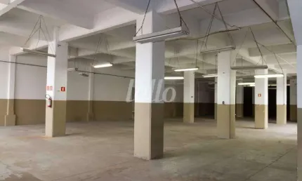 Barracão / Galpão / Depósito para alugar na Rua Zanzibar, --, Casa Verde, São Paulo, 2440 m2 por R$ 50.000
