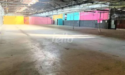 Barracão / galpão / depósito para alugar na rua major paladino, --, vila ribeiro de barros, são paulo, 6219 m2 por r$ 120.000