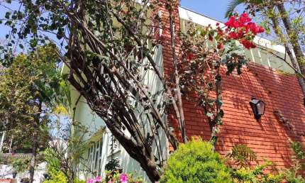 Casa com 4 quartos para alugar na Rua Paumari, --, Vila Ipojuca, São Paulo, 280 m2 por R$ 11.000